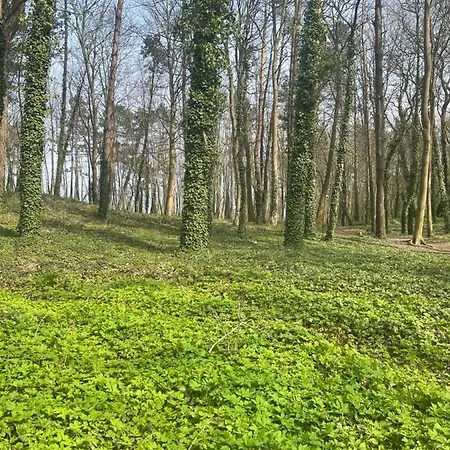 Donna Aparts דירה