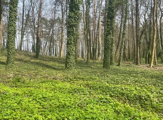 Donna Aparts Апартаменты